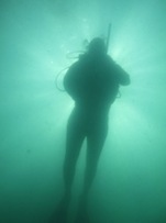 Stefan Engeseth diving